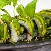 Vegetarisk Maki