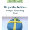 Ha en fantastisk bra dag