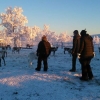 Visit at the sami camp and the reindeers