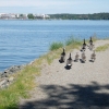 Promenaden längs med havet