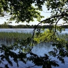 Juni månads lokalbild (Västersjön).

June, local picture of the month (lake Västersjön).

Fotograf/Photographer: Matz DeLay