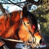 Tack alla medverkande för att ni bidrog till att göra vår julmarknad till en så fantastisk dag