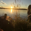 Bild från Leksand Strand av @pinkysangelwings - #nice #stuga #summer #sweden #beer#funny #camp #campingöl #sol#solnedgång#sunset#love#carlsberg