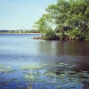 Bild från Strandängen av @miapatriksson - #ivö #ivösjön #lakeivö #strandängen #insjö #sjö #lake #träd #tree #pir #pier #himmel #sky #sol #sun #vatten #water #näckros #waterlily #lily #natur #nature #bromölla #skåne #landskap #landscape #vy #view #relax #s