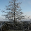 Vinter, Stora Alvaret Öland