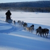 njut av vintern..... i Hälsingland, 
Geniet van de winter..... in Hälsingland, Zweden.