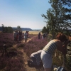 Fotografering i full gång på #fjäråsbräcka med #biofotoväst som har kurs i makro.