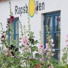 Rapsbollens Bed and Breakfast på Österlen