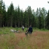 Senaste veckorna vi har gjort några guidade vandringsturer med våra gäster. Turer var mycket uppskattat och är även lämplig för barn.

Last weeks we have made sevaral guided tours with our guests. These tours were very appreciated and are also suitable 