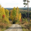 Indian Summer in Dalarna!