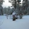 Vintern är tillbaka efter en lång period av alltför höga temperaturer. Snart kan vi njuta av alla de aktiviteter som vi kan göra i snön och på isen.

The winter is back after a long period of too high temperatures. Soon we can enjoy of all the activitie