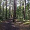 En kilometer från Älvdalsgården ligger naturreservatet Hökafältet med vandringsleder och motionsspår.