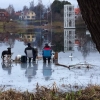 Alla har sitt att göra på Juldagen! :)