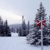 Det har kommit lite snö inatt, skidleden upp på ottfjället börjar se bra ut nu.