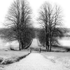 Övre delen av slottsallén.
foto: Elias Holmström