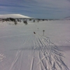 Skidtur på fjället