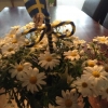 19/6 stäng för midsommar afton!