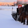 Så är det då sista dagen innan jul vi har öppet, passa på att besöka oss idag 11-15.