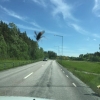 Denna lilla Geting åkte med oss från VennerBO till äldsta sonens förskola. Vilket drag han hade 