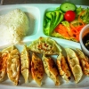 Hemmagjorda gyoza dumplings.