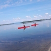 Kayak safari