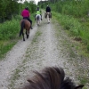 Horse riding tour