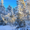 Det ska bli strålande väder till helgen!
Och vi har fortfarande stugor kvar ☀️