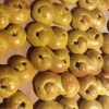 Lussekatt