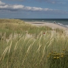 Bild från Sandhammaren av @raybs - Sandhammaren Beach ☀️