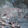 Bassängbad. Vanadisbadet.
Fotograf: Lundh, Gunnar
Källa: http://digitaltmuseum.se/things/bassngbad-vanadisbadet/S-NM/NMA.0045418