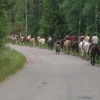 Ännu en härlig Ridlägervecka har gått och nöjda Elever rider iväg hästarna till ett välförtjänt grönbete i Boxhult