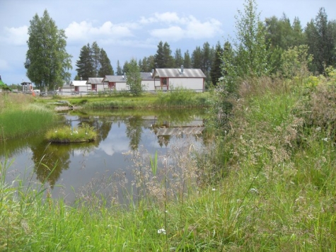 Långflon camping