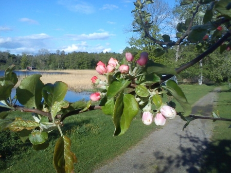 Rockelstad Slott