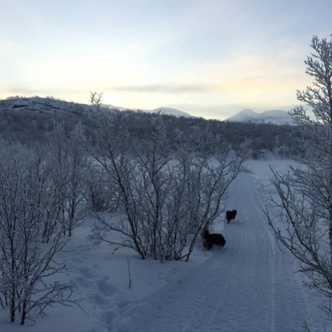 Abisko Mountain Lodge