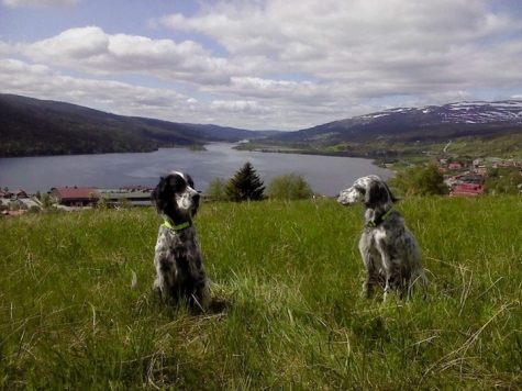 Åre Bed och Breakfast