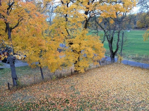 Rytterne Kyrkskola B&B