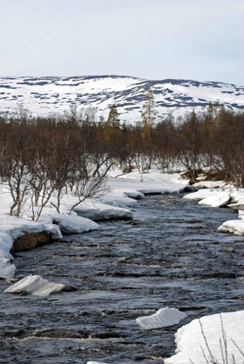 STF Grövelsjön Fjällstation