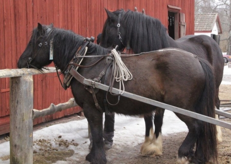 STF Lakene Gård Vandrarhem