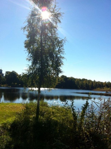 STF Långasjö Vandrarhem, Café Stallet