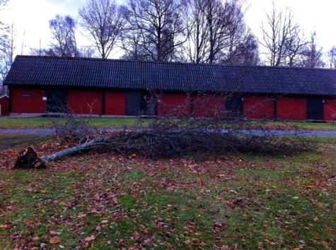 STF Långasjö Vandrarhem, Café Stallet