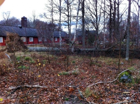 STF Långasjö Vandrarhem, Café Stallet