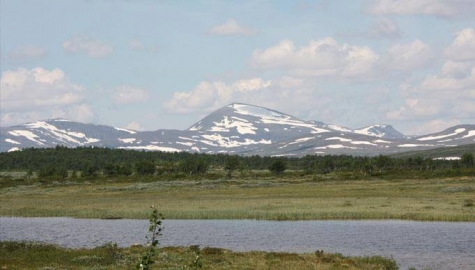 Fjälltunet i Bruksvallarna