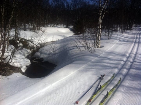 Fjälltunet i Bruksvallarna