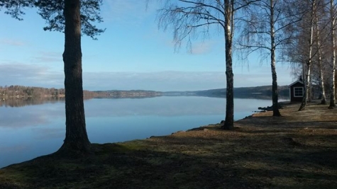 Sköna Rum B&B Fryksta