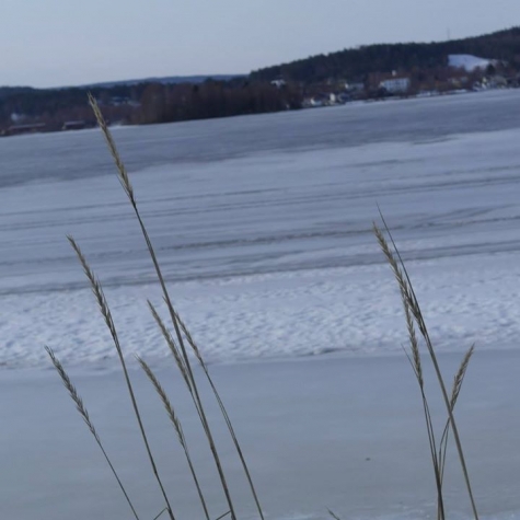 Sandslåns Vandrarhem och Camping