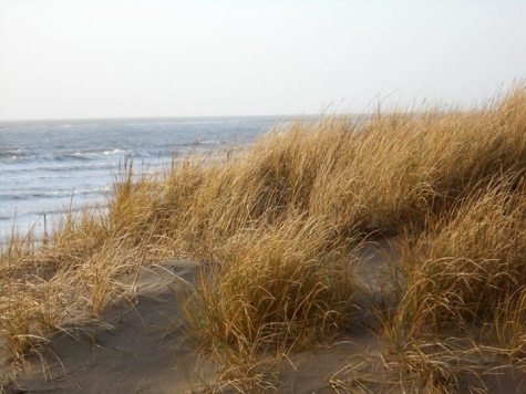 Strandkanten Klittergarden