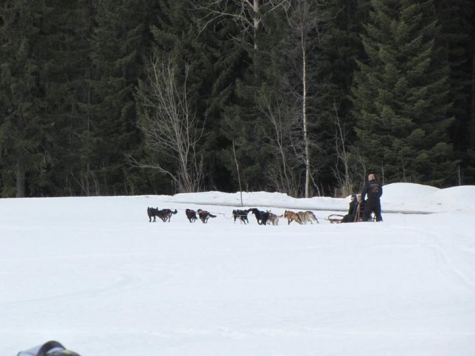 Bergstugan Fröå Gruva