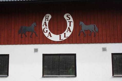 Haga stall, Gård