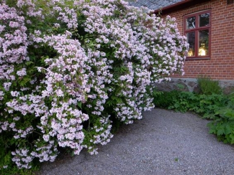 Kölleröds gamla skola B&B.