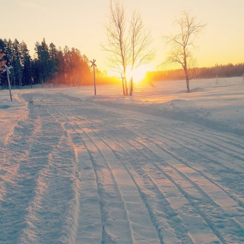 Järjagården